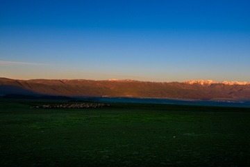 _DSC2840