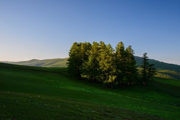 _DSC2887