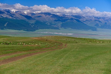 _DSC3091