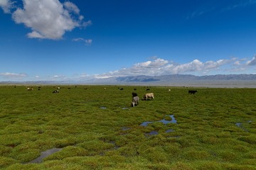 _DSC3144