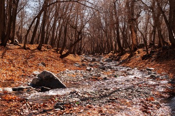 _DSC6896-1