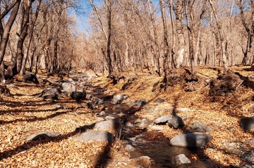 _DSC6883-1