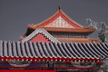 8755C203-3FF6-4035-8002-BDA1EBDB2D51/L0/001