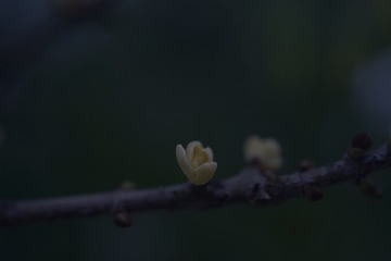 309EBB82-839B-4FF0-AA82-595B5A6F57FE/L0/001