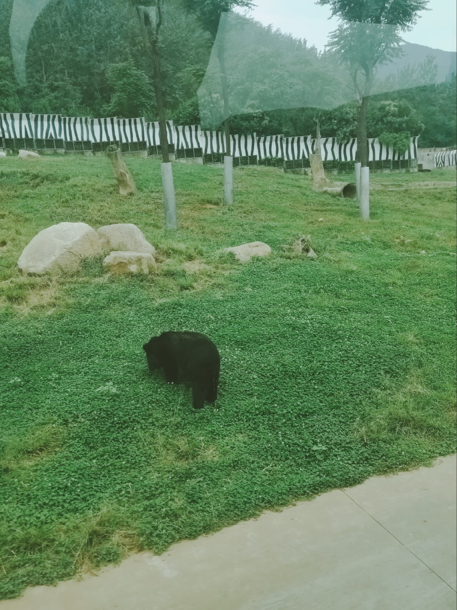 水貂养殖日常管理制度