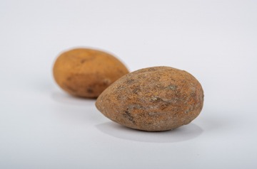 K5__1477