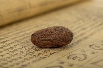 K5__1605