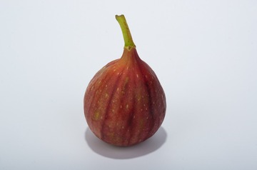 K5__3408