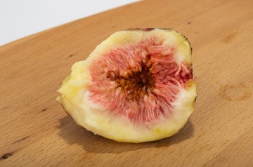 K5__3445