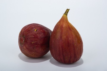 K5__3411