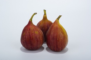 K5__3412