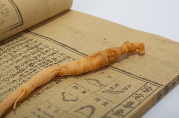 K5__3771