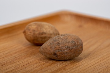 K5__1559