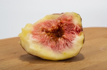 K5__3444