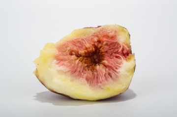 K5__3448