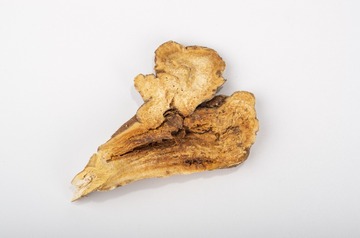 K5__2536