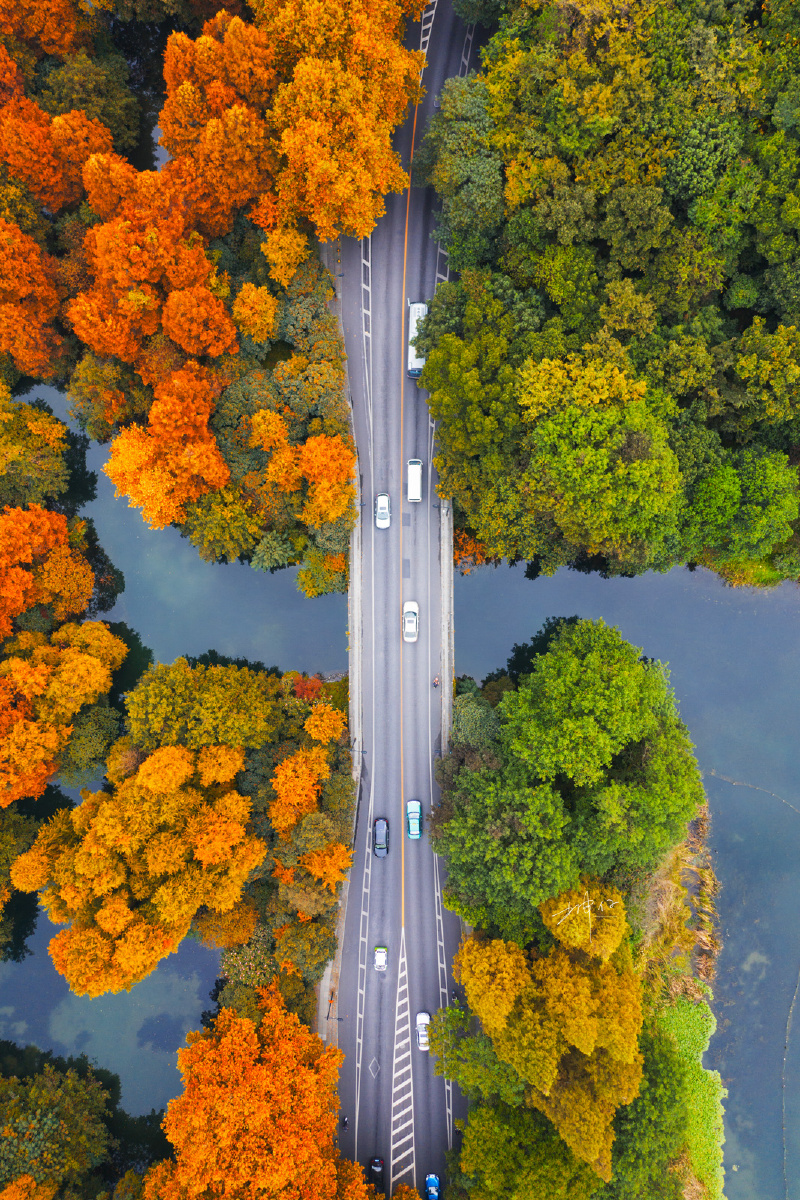 坤仔 - 图虫网 - 优质摄影师交流社区