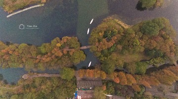 DJI_0050