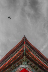 向上看