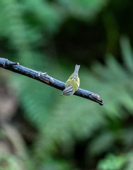 YSG_3377