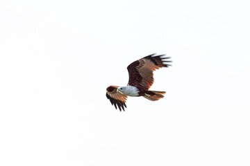 YSG_5539