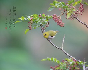人生好时节_
