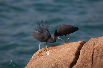 IMG_0104-1_