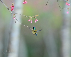 YSG_9621_