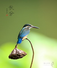 IMG_0311 拷贝