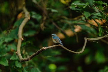 YSG_2739