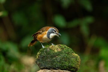 YSG_2951