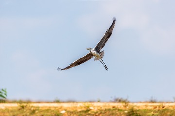 YSG_8474