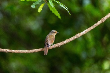 YSG_8934