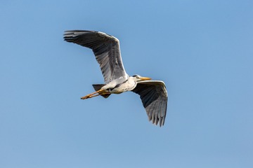 YSG_5803