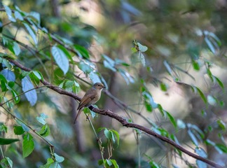 YSG_2957