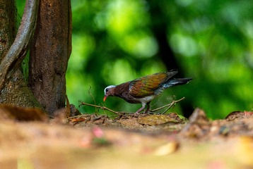 YSG_5460