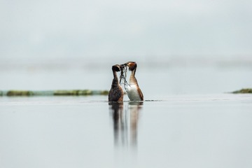 YSG_0592