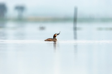 YSG_0851