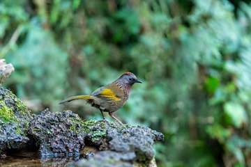 YSG_1138