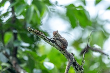 YSG_4596