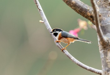 YSG_9681