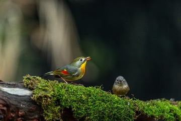 YSG_5385