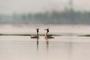 YSG_1025