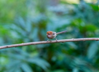 YSG_3788