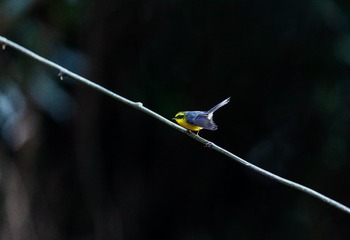 YSG_8659