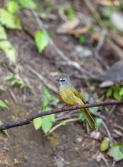 YSG_5462