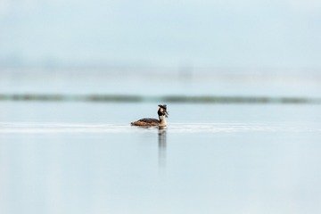 YSG_0932