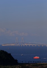 _SG_9685