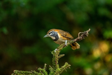 YSG_2867