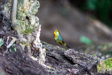 YSG_6831_1